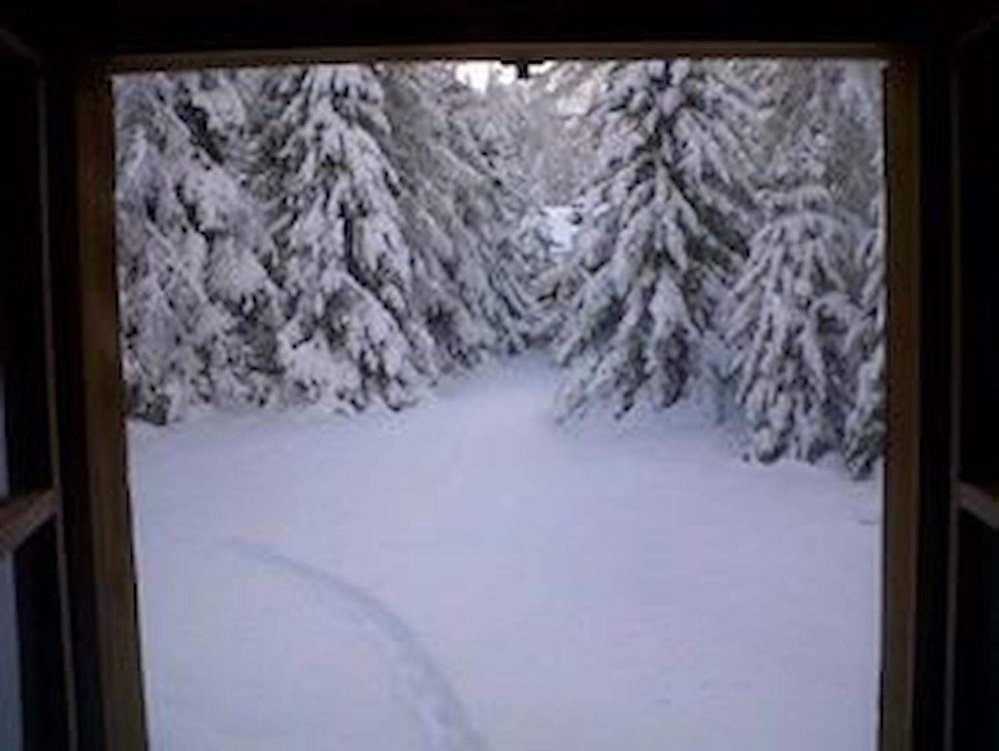 Chalet Gulas - La Punt-Chamues-ch Exterior foto